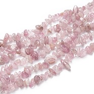 Natural Madagascar Rose Quartz Beads Strands, Chips, 6~11x5~9x2~6mm, Hole: 0.5mm, about 223pcs/Strand, 33.23 inch(84.4cm)(G-O187-01)