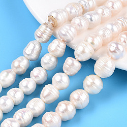 Natural Cultured Freshwater Pearl Beads Strands, Rice, Seashell Color, 6.5~14.5x10~12.5mm, Hole: 0.6mm, about 31~45 pcs/strand, 15.67~16.14 inch(39.8~41cm)(PEAR-N012-10E)