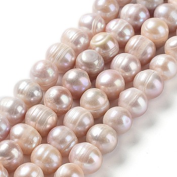 Natural Cultured Freshwater Pearl Beads Strands, Potato, Grade AB, Rosy Brown, 9~12x9~11mm, Hole: 0.5mm, about 35pcs/strand, 14.37''(36.5cm)