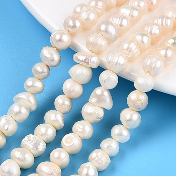 Natural Cultured Freshwater Pearl Beads Strands, Potato, Seashell Color, 6~7.5x6.5~9.5x6.5~7.5mm, Hole: 0.8mm, about 49~56pcs/strand, 12.91~14.13 inch(32.8~35.9cm)