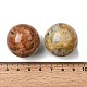 Natural Crazy Agate No Hole Sphere Beads(G-I367-05-10)-2