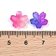 transparente handgefertigte Lampwork-Perlen(LA-CBA5F4F-03)-3
