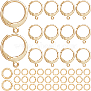 80Pcs 304 Stainless Steel Leverback Earring Findings, with Horizontal Loop and 100Pcs Open Jump Rings, Golden, 14.5x12mm, Hole: 1.2mm, Pin: 0.8x1mm(STAS-SP0001-16)