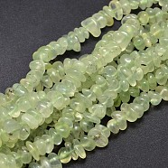 Natural Prehnite Chip Beads Strands, 5~14x4~10mm, Hole: 1mm, about 15.5 inch~16.1 inch(X-G-E271-99)