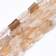 Natural Citrine Beads Strands, Faceted, Column, 8~11x6~8x5~7mm, Hole: 1mm, about 15~17pcs/strand, 7.28~7.48 inch(X-G-S345-8x11-013)