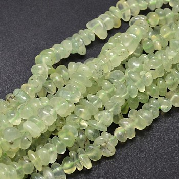 Natural Prehnite Chip Beads Strands, 5~14x4~10mm, Hole: 1mm, about 15.5 inch~16.1 inch