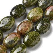 Natural Unakite Beads Strands, Flat Oval, 18~18.5x13~13.5x6~6.5mm, Hole: 1.2mm, about 11pcs/strand, 7.76 inch(19.7cm)(G-P528-M17-01)