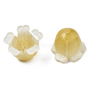 Plastic Beads, Flower, Goldenrod, 15x13~15x11~12mm, Hole: 1.2mm(KY-N015-116B)