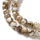 Natural Freshwater Shell Beads Strands(X-SSHEL-B002-15)-3