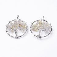 Natural Citrine Pendants, with Brass Findings, Flat Round with Tree of Life, Platinum, 29x5~7mm, Hole: 4.5mm(G-E419-11P)