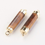 Natural Gemstone Links connectors, with Brass Findings, Column, 25~27x5~6mm, Hole: 2mm(G-F527-11A)