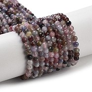 Natural Spinel Beads Strands, Faceted, Round, 3mm, Hole: 0.8mm, about 129pcs/strand, 15.35''(39cm)(G-G140-A09-02)