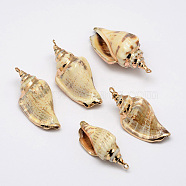 Golden Electroplated Conch Shell Pendants, Mixed Color, 26~52x13~23x15~17mm, Hole: 2mm(X-BSHE-M016-02)