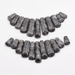 Natural Larvikite Beads Strands, Graduated Fan Pendants, Focal Beads, 16~39x9.5~10x5mm, Hole: 1mm, 11pcs/strand, 3.27 inch(G-P298-J01)