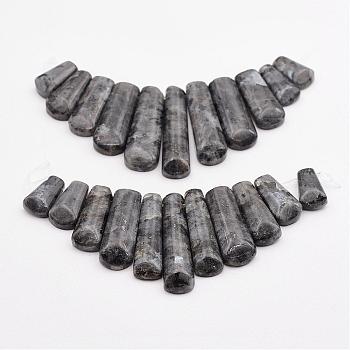 Natural Larvikite Beads Strands, Graduated Fan Pendants, Focal Beads, 16~39x9.5~10x5mm, Hole: 1mm, 11pcs/strand, 3.27 inch