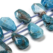Natural Apatite Beads Strands, Faceted, Teardrop, Top Drilled, 10~18x8~13x3~7mm, Hole: 1mm, about 27pcs/strand, 15.79''~15.98''(40.1~40.6cm)(G-Z040-A07-01)