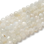 Natural Moonstone Beads Strands, Faceted, Round, Grade AB, 4mm, Hole: 0.5mm, about 107pcs/strand, 15.35 inch(39cm)(G-F736-01-AB)