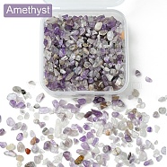 50G Natural Amethyst Chip Beads, No Hole/Undrilled, 2~12x2~10x1~3mm(G-YW0001-72)