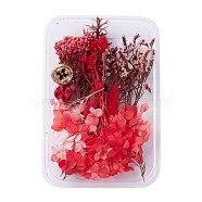 Dried Flowers, DIY Candle Soap Making Accessories, with Plastic Rectangle Box, Red, 1.5~16x1.8~5.4cm(DIY-D052-25)