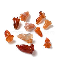 Natural Carnelian Beads, Flower, 16~18.5x11~13mm, Hole: 1~1.2mm(G-C054-09F)