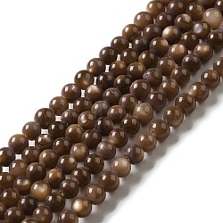 Natural Freshwater Shell Beads Strands, Round, Dyed, Coconut Brown, 3mm, Hole: 0.5mm, about 124~132pcs/strand, 14.96''(38cm)(SHEL-H003-03D)