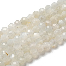 Natural Moonstone Beads Strands, Faceted, Round, Grade AB, 4mm, Hole: 0.5mm, about 107pcs/strand, 15.35 inch(39cm)(G-F736-01-AB)