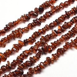 Natural Garnet Chip Bead Strands, Dyed, 5~8x5~8mm, Hole: 1mm, about 31.5 inch(X-G-M205-73)