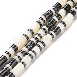 Natural Trochid Shell Beads Strands, Dyed, Flat Round, Black, 6x1.5~2.5mm, Hole: 0.9mm, about 168~225pcs/strand, 15.55 inch(39.5cm)(SSHEL-G023-02B-04)