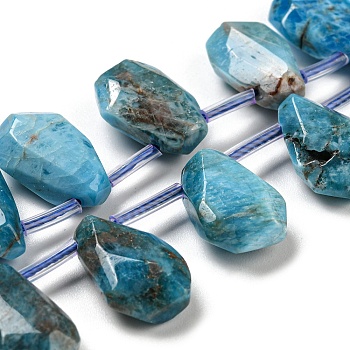 Natural Apatite Beads Strands, Faceted, Teardrop, Top Drilled, 10~18x8~13x3~7mm, Hole: 1mm, about 27pcs/strand, 15.79''~15.98''(40.1~40.6cm)