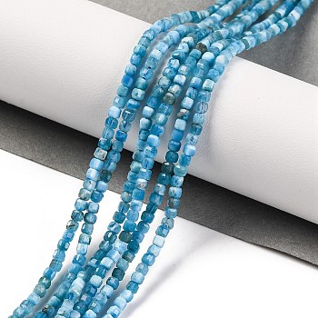 Natural Apatite Beads Strands, Faceted Table Cut Cube, 2x2x2.5mm, Hole: 0.6mm, about 188pcs/strand, 15.35 inch(39cm)