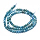 Natural Apatite Beads Strands(G-K305-26-C)-2