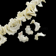 Chips Natural Sea Shell Beads Strands, Shell Shards, 17~31x10~25x3~18mm, Hole: 1mm, about 68pcs/strand, 15.7 inch(SSHEL-F290-30)