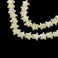 Star Shape Natural Sea Shell Beads Strands, 12~13x12~13x3~4mm, Hole: 1mm, about 38pcs/strand, 15.3 inch(SSHEL-F290-18A)