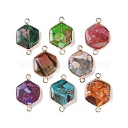 Dyed Synthetic Imperial Jasper Connector Charms, Golden Plated Brass Hexagon Links, Mixed Color, 29~30x19~20x4.5~6mm, Hole: 2.5mm(G-P529-04G)