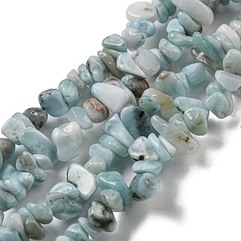 Natural Larimar Beads Strands, Chip, 1.5~5x3~13x2~8mm, Hole: 0.6mm, 30.94~31.97''(78.6~81.2cm)