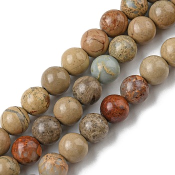 Natural Aqua Terra Jasper Strands, Impression Jasper, Round, 4x4mm, Hole: 1mm, about 91pcs/strand, 15 inch(38cm)