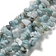 Natural Larimar Beads Strands(G-G0003-B40)-1