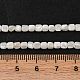 Natural Trochus Shell Beads Strands(BSHE-S304-09B)-4