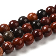 Natural Red Snakeskin Jasper Beads Strands, Round, 10~10.5mm, Hole: 1.4mm, about 38pcs/strand, 15.35''(39cm)(G-H298-A02-04)