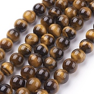 Natural Tiger Eye Beads Strands, Round, Goldenrod, 10mm, Hole: 1mm, about 19pcs/strand, 7.4 inch(G-G099-10mm-5)