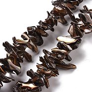Natural Trochid Shell Beads Strands, Chip, Coconut Brown, 2~11x22~25x5~8mm, Hole: 0.8mm, about 93~148pcs/strand, 14.57~15.94 inch(37~40.5cm)(SSHEL-G023-05A)