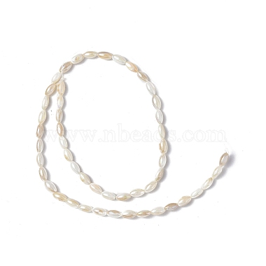 Eau douce naturelle de coquillage perles brins(SHEL-C003-06)-2