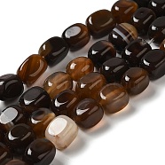 Natural Agate Beads Strands, Dyed & Heated, Cube, Coconut Brown, 11~12x8~9.5x8~9.5mm, Hole: 1.2mm, about 16pcs/strand, 7.48~7.72''(19~19.6cm)(G-H295-A01-03)