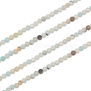 2 Strands Natural Flower Amazonite Beads, Faceted, Round, 4mm, Hole:0.8~1mm, about 85pcs/strand, 14.5 inch(G-NB0003-14)