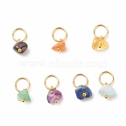 7Pcs 7 styles Natural Stone Charms, Natural Garnet & Red Aventurine & Green Aventurine & Amethyst & Citrine & Aquamarine & Lapis Lazuli, with 304 Stainless Steel Jump Ring, Nuggets, Golden, 14mm, 1pc/style(PALLOY-JF01485-01)