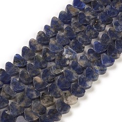 Natural Sodalite Beads Strands, Heart, 7~7.5mm, Hole: 0.6mm, about 62pcs/strand, 14.80''~15''(37.6~38.1cm)(G-M403-A08)