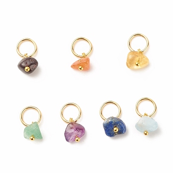 7Pcs 7 styles Natural Stone Charms, Natural Garnet & Red Aventurine & Green Aventurine & Amethyst & Citrine & Aquamarine & Lapis Lazuli, with 304 Stainless Steel Jump Ring, Nuggets, Golden, 14mm, 1pc/style