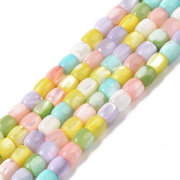 Natural Trochid Shell/Trochus Shell Beads Strands, Dyed, Column, Mixed Color, 5~6x5.5~6mm, Hole: 1mm, about 62~64pcs/strand, 14.37~14.57''(36.5~37cm)