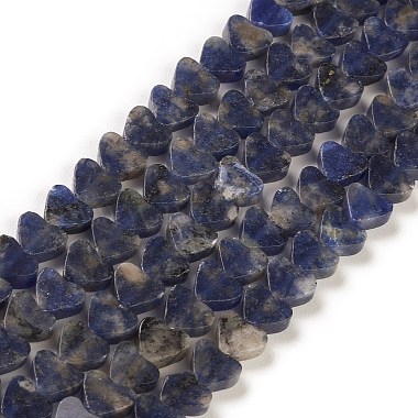 Dark Blue Heart Sodalite Beads