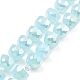 AB Color Plate Glass Beads Strands(EGLA-P051-02A-A04)-1